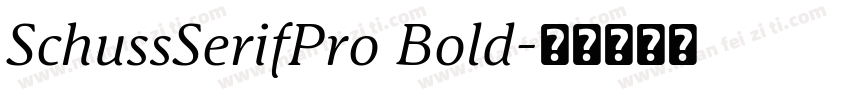 SchussSerifPro Bold字体转换